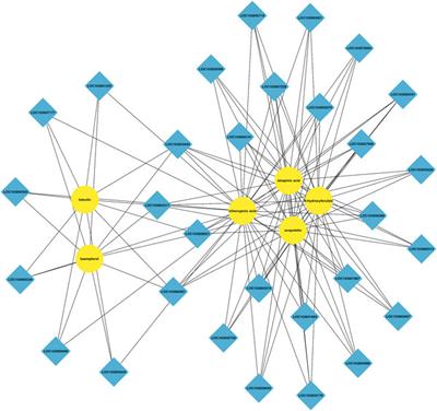 Integrated transcriptomic and metabolomic analyses of pak choi [Brassica pekinensis (Lour.) Rupr] response to combined stress of acid rain and cadmium-containing atmospheric fine particulate matter